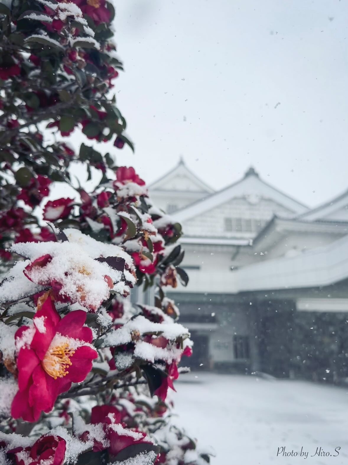 わたりめぐりフォトコンテスト「亘理の冬」